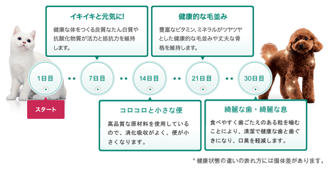 ピュリナワン ストア
