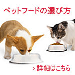 サイエンスダイエット ストア