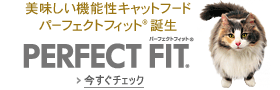 パーフェクトフィット
