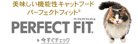 パーフェクトフィット