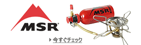MSR