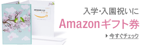 Amazon�M�t�g��