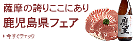 ���������t�F�A�E���Y�W