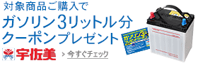 �u�K�\�����N�[�|��3���b�g�����v�v���[���g