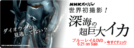 ������C�J�b�m�g�j�X�y�V����