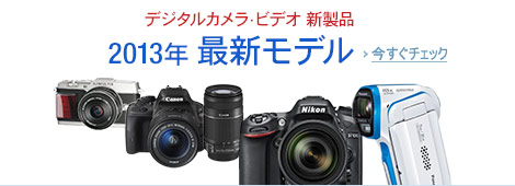 2013�N���f�� �f�W�^���J�����E�r�f�I�V���i