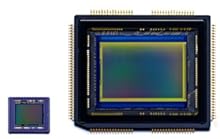 APS-C��^CMOS�Z���T�[