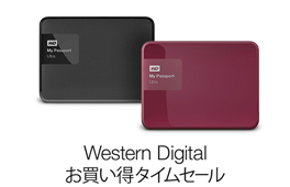 ウエスタンデジタル タイムセール