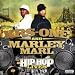 Hip Hop Lives