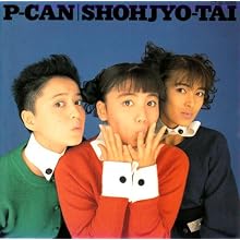 P-CAN(��)