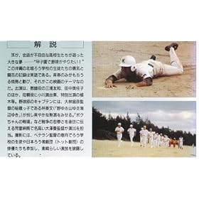 �y���Ȃ�b�q�� [VHS]