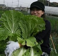 仙川 環 の画像