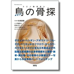 ���̍��T (BONE DESIGN SERIES)