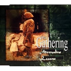 Adrenaline/Leaves