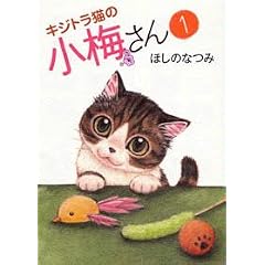 キジトラ猫の小梅さん