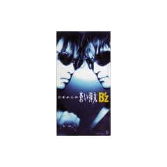 さまよえる蒼い弾丸