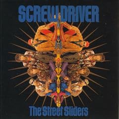 SCREW DRIVER