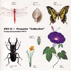 Collection