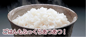 �T�����[ �X�`�[���I�[�u�������W �i�V�����p���S�[���h�j EMO.FS30A(N)
