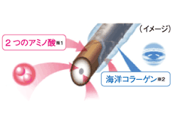 �F�����A�b�v�����c���c�����Ȃ₩�@�@�@�����Д�
