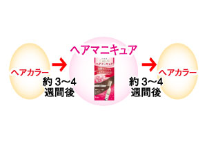 �V�G�� �w�A�}�j�L���A�̃I�X�X�����p�@