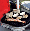 Coleman �o�[�x�L���[�E�N�b�L���O�p�i
