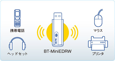 BT-Mini2EDRW構築例