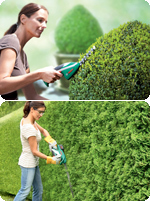 ��؁E���_�̎����