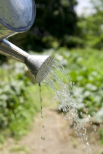 �K�[�f�j���O�X�g�A�Ƃ�