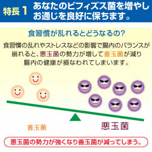 おなかの中はどうなっているの?
