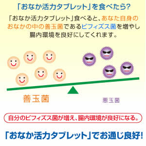 あなたのビフィズス菌を増やし、お通じ良好!