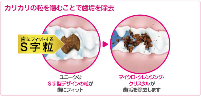 ���[�J�k�o