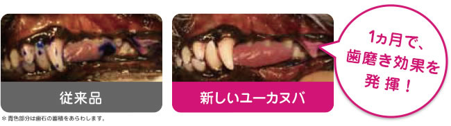 ���[�J�k�o