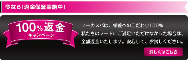 ���[�J�k�o