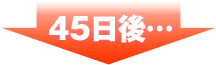 45日後