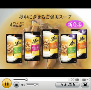 シーバアミューズ紹介動画