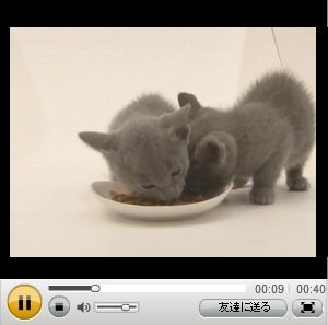 シーバデュオ子ねこ用 紹介動画