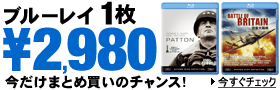 �u���[���C��2,490~