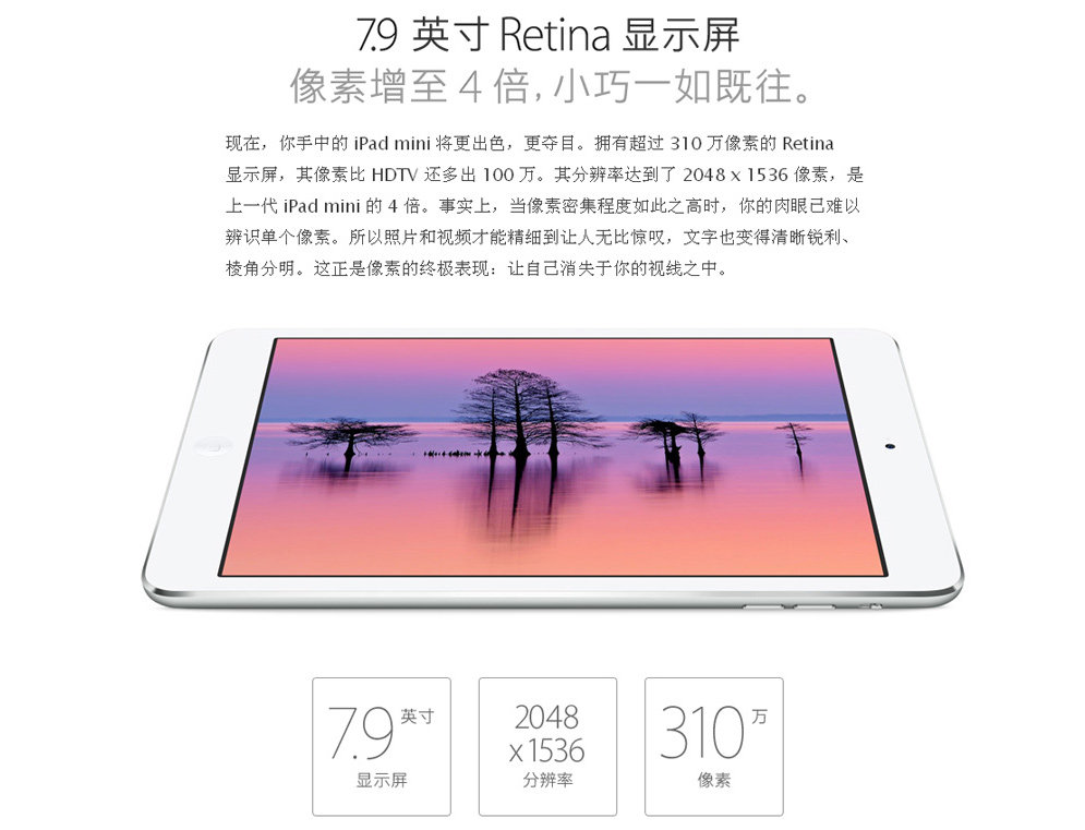 Apple 配备 Retina 显示屏的 iPad mini WLAN +