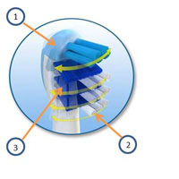 TriZone Cleaning System