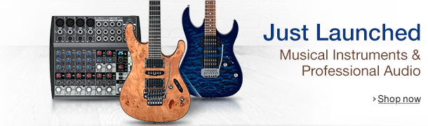 Musical Instruments & Professional Audio