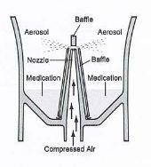 NE-C28