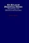 An Atlas of Drosophila Genes: Sequences and Molecular Features
