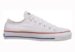 Converse Chuck Taylor All Star Lo Top Optical White