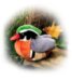 WOOD DUCK by Wild Republic