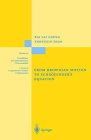From Brownian Motion to Schrodinger's Equation (Grundlehren Der Mathematischen Wissenschaften)