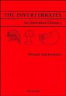 The Invertebrates: An Illustrated Glossary