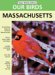 Birds of Massachusetts v3.5