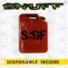 Cover of Disposable Income
