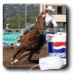 Horse - Barrel Racing - Mouse Pads